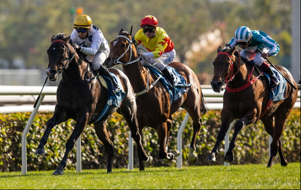 horse race